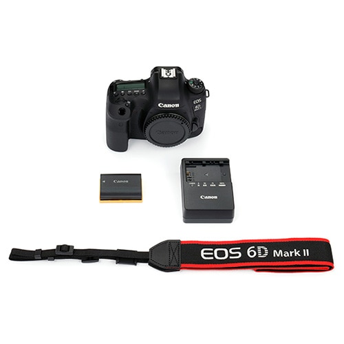 Canon(キヤノン) EOS 6D Mark II デジタル一眼レフカメラ ボディ