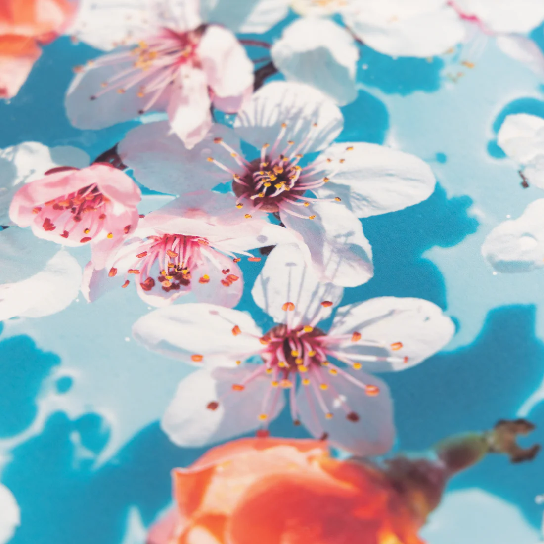 ※印刷イメージです。