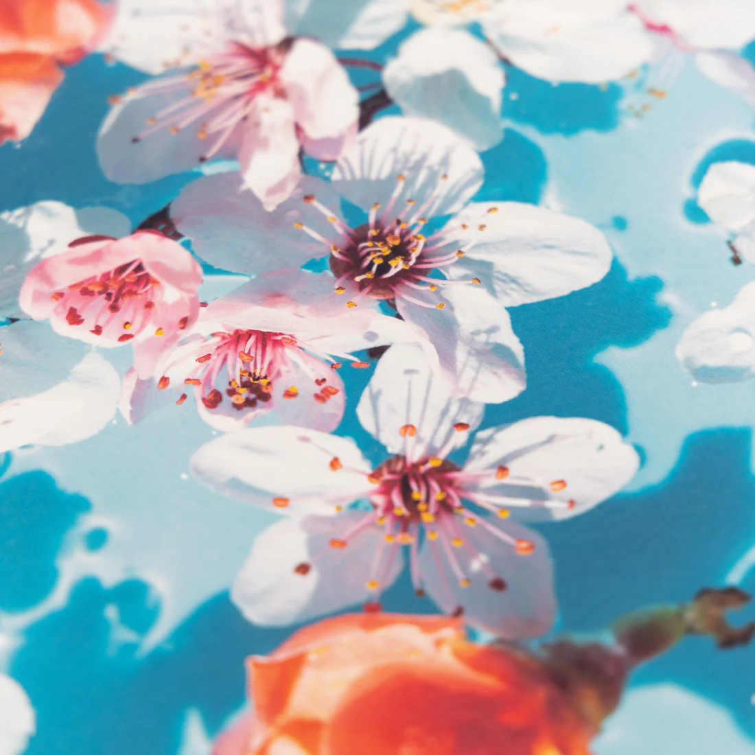 ※印刷イメージです。