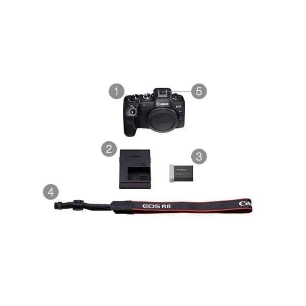 Canon(キヤノン) EOS R8 デジタル一眼カメラ ボディー 5803C001(ボディー): カメラ・レンズ 銀一オンラインショップ |  撮影用背景-プロフェッショナル映像・撮影機材専門店