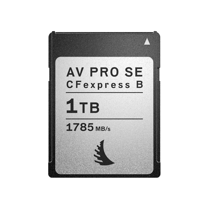数量限定/特価品】ANGELBIRD(エンジェルバード) AV PRO CFexpress SE 