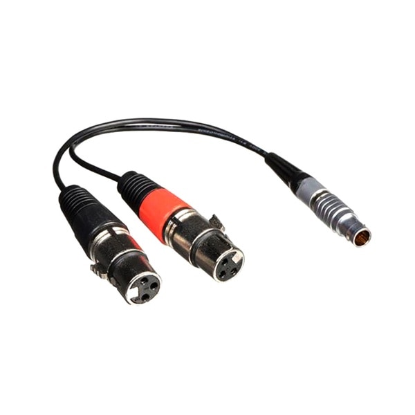 【9/18-OUTLET】ATOMOS(アトモス) XLR ブレイクアウトケーブル インプットオンリー