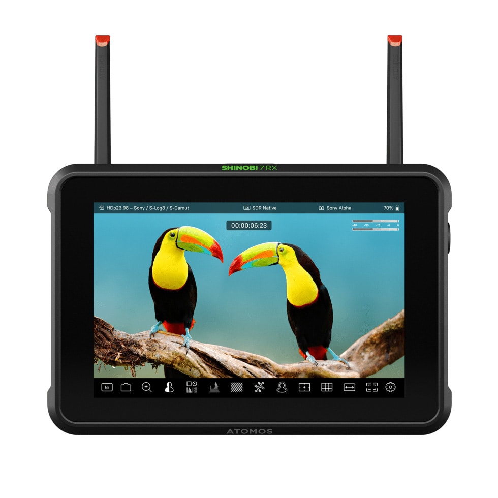 ATOMOS(アトモス) Shinobi 7 RX ATOMSHBRX1