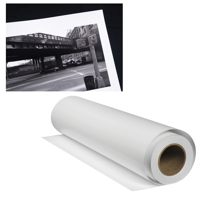 【9/18-OUTLET】Museo(ムゼオ) Silver Rag 44 x 50ft ロール MSRAG44