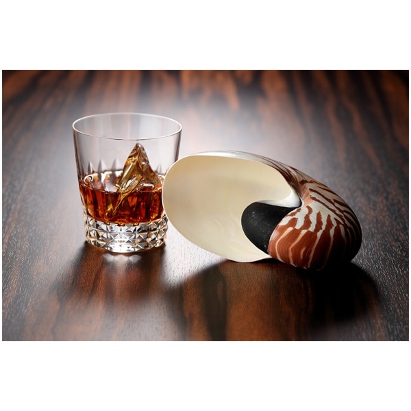 AICA(アイカ) メラミンボード 4x8判(1200x2400mm) TJ-629K