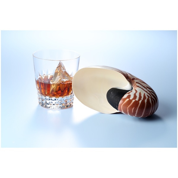 AICA(アイカ) メラミンボード 3x6判(900x1800mm) K-6618KN