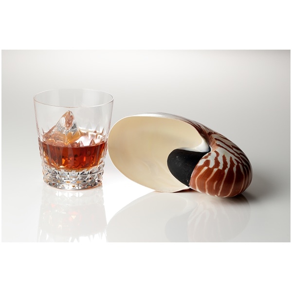 COMET(コメット) CXグリッドスポットS 180Φレフ用 25552(S