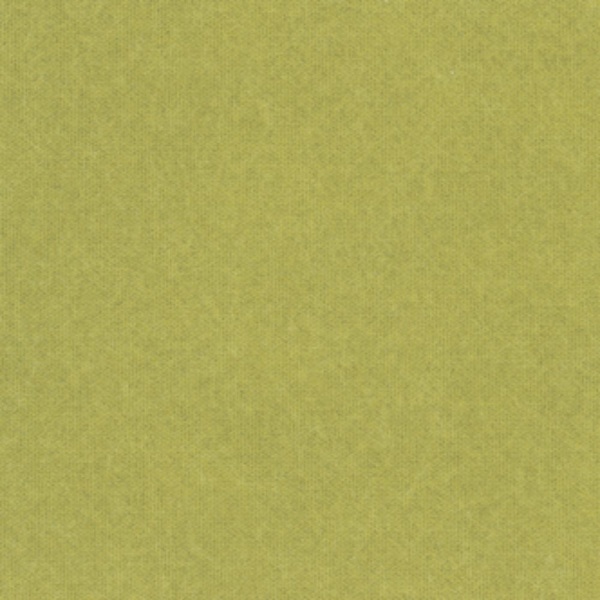 WARLON(ワーロン) ワーロンシート 606x930x0.2mm 鶸萌葱(ひわもえぎ)