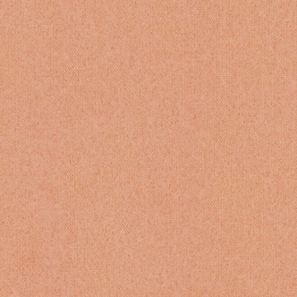WARLON(ワーロン) ワーロンシート 606x930x0.2mm 柿色(かきいろ)