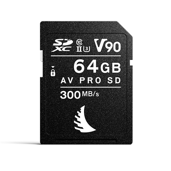 ANGELBIRD(エンジェルバード) AV PRO SD MK2 V90 64GB AVP064SDMK2V90