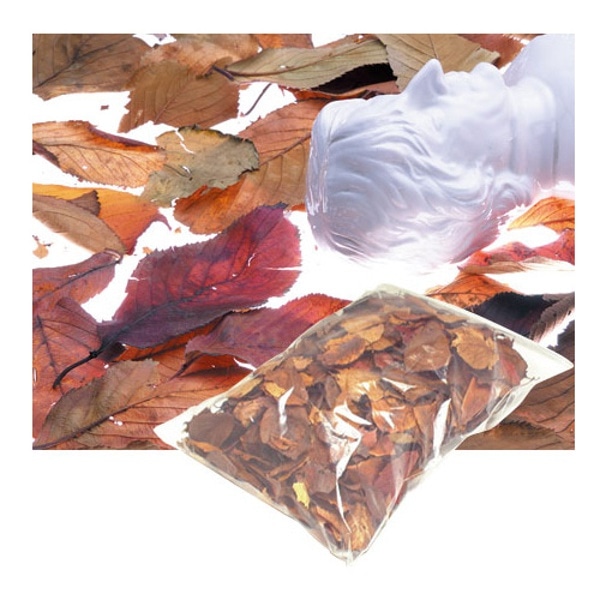 STUDIOSHOP(スタジオショップ) 桜の枯れ葉 約100g入り