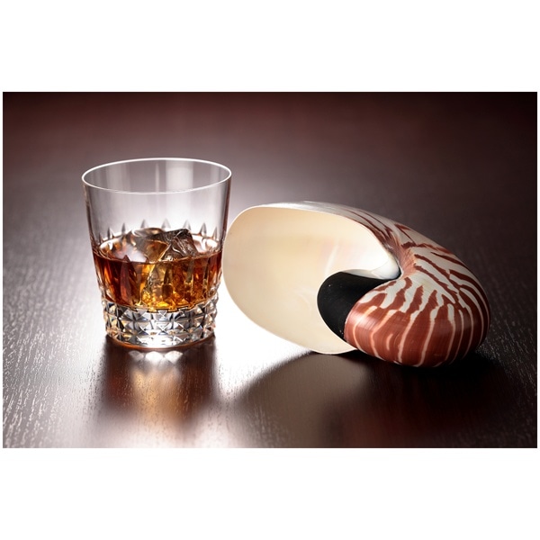 メラミンボード 4x8判(1200x2400mm) イビ B-5561C