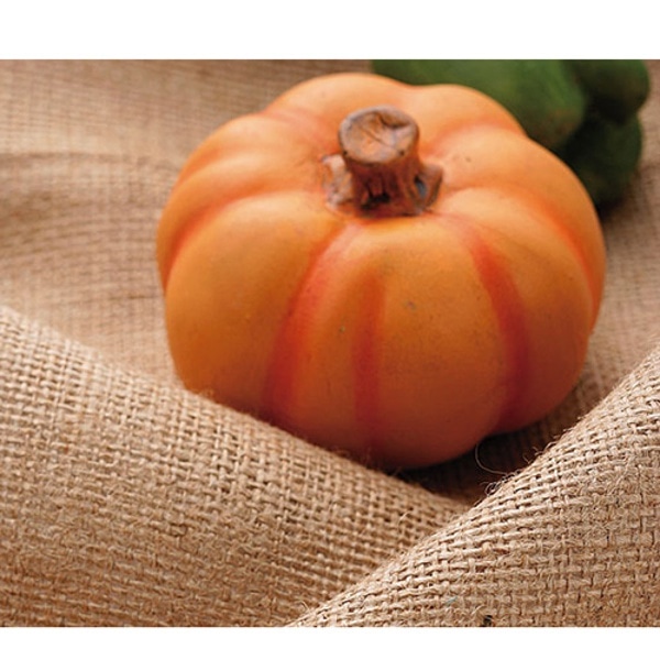 STUDIOSHOP(スタジオショップ) オニオンクロス 1.16m巾