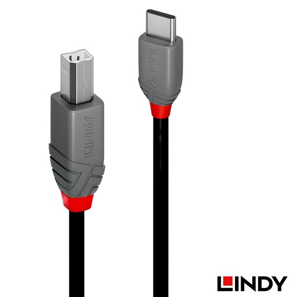 【会員価格/SALE】LINDY(リンディー) ANTHRA LINE USB 2.0 Type-C to Type-Bケーブル 0.5m 36940