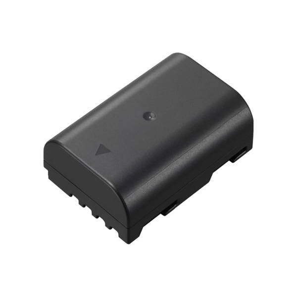 Panasonic(パナソニック) DMW-BLF19 バッテリーパック