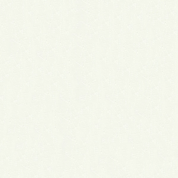 PCM竹尾(PCMたけお) DEEP PV プリンタ出力紙 モデラトーンアイス 483x329mm A3ノビ 20枚入