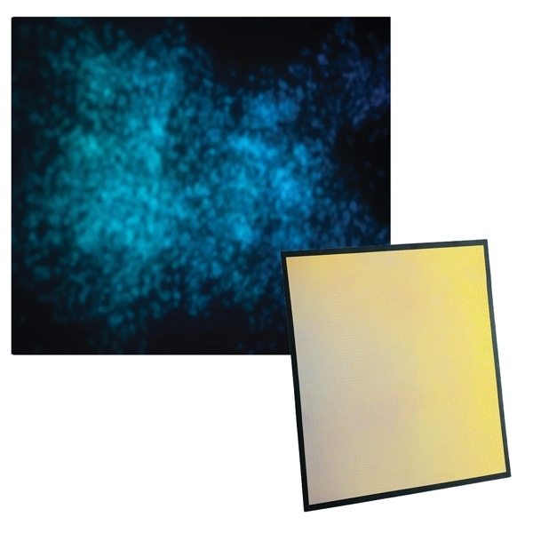 dedolight(デドライト) EFLECT 45x45cm マルチミラー 細目(トロピカルオレンジ) DEFRL-MTO1 265254