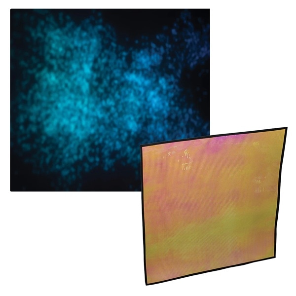 dedolight(デドライト) EFLECT 80x80cm マルチミラー 細目(トロピカルオレンジ) DEFRXL-MTO1 265263