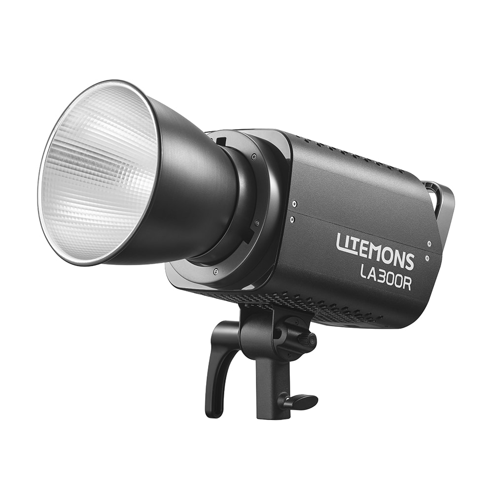 GODOX(ゴドックス) LA300R K1 1灯ケースキット ブラック 266740