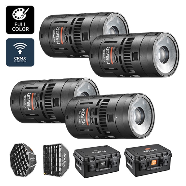 GODOX(ゴドックス) MS60 R 4K フルカラー 4灯キット