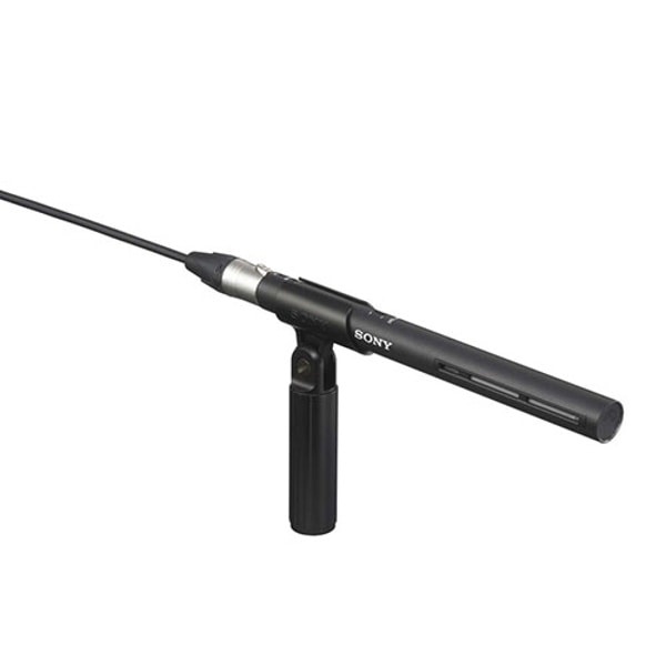 2026/1/13キャンペーン】SONY(ソニー) ワイヤレス/ストリーミング