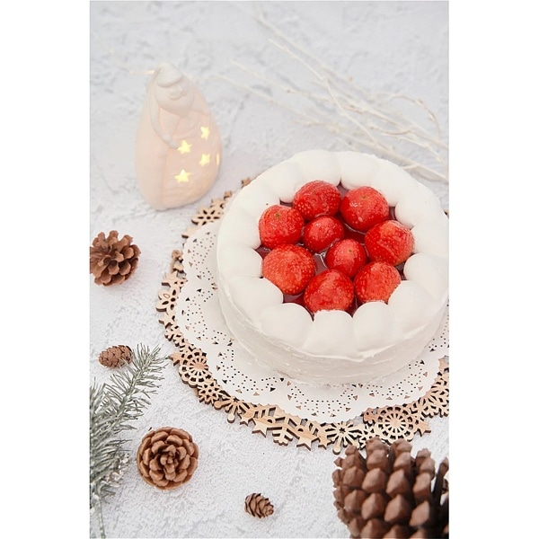 PinoStudio(ピノスタジオ) 撮影背景シート Pro Lサイズ(123x90cm) 漆喰 PPSL0014