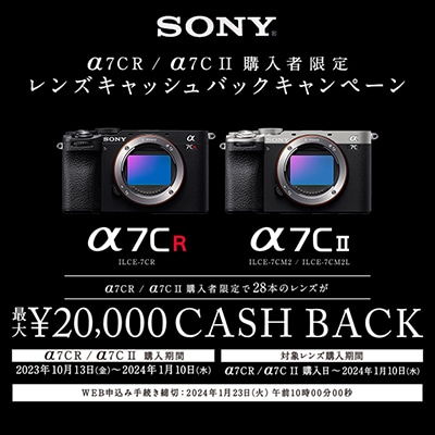 sony a6600  2020年6月購入　デジタル一眼カメラ　レンズ付き