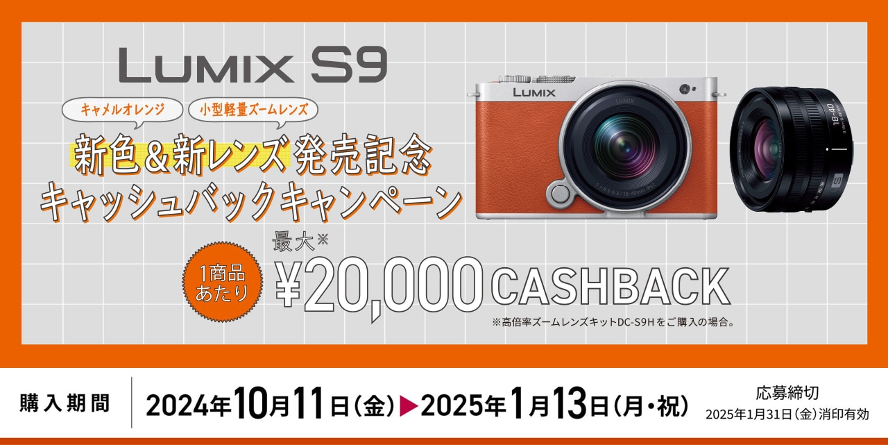 パナソニックフルサイズ ミラーレス一眼カメラ ルミックス DC-S9N-D 