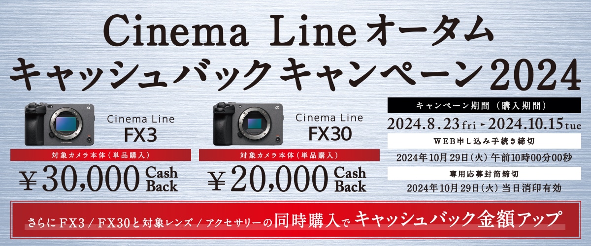 美品］SONYFE24mmF1.4GM（24時間タイムセール） 程遠い 